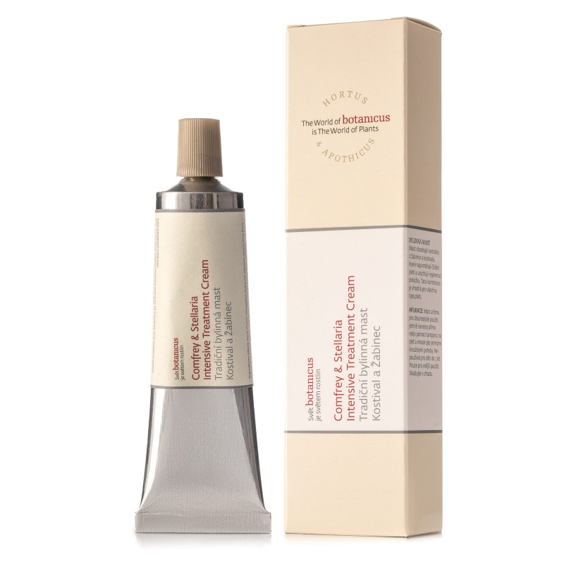 Tradiční bylinná mast kostival a žabinec